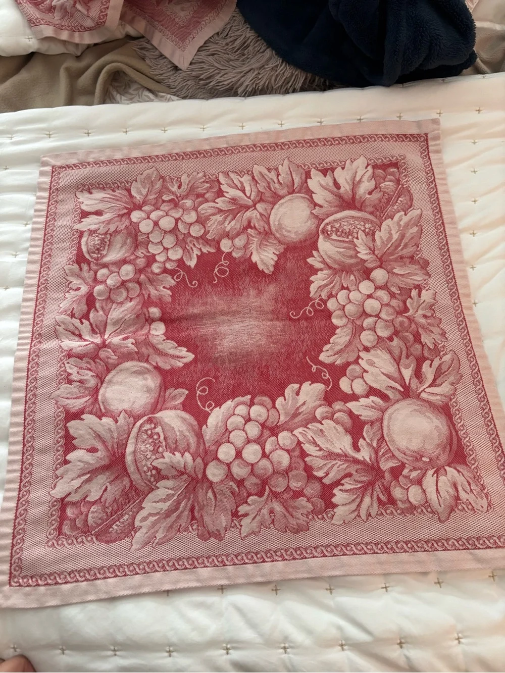 Williams Sonoma Le Telerie Toscane Jacquard Napkins Red Fruits Set 4